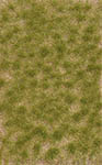 070-3533